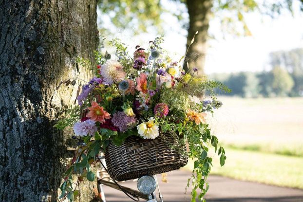 Herbstzauber, © https://www.gartenzauber.com/pages/herbstzauber