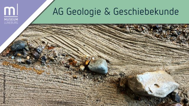 Treffen der AG Geologie & Geschiebekunde, &copy; Museum L&uuml;neburg
