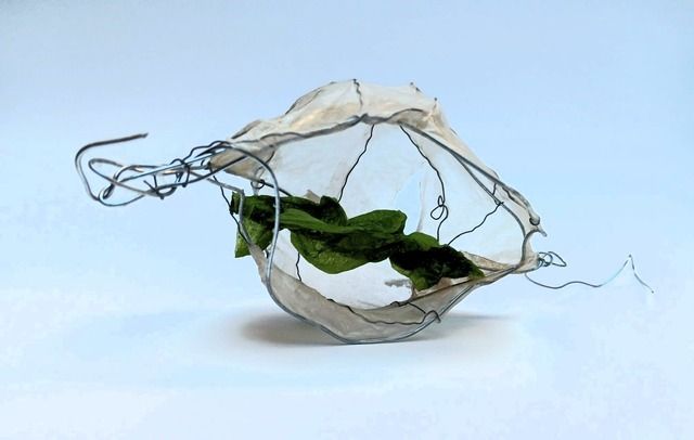 Ausstelungser&ouml;ffnung "Cocooning" .... und drau&szlig;en die Welt"