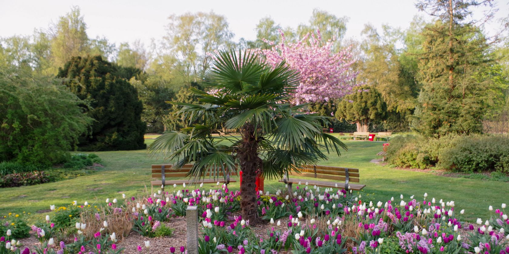 , &copy; Helge Masch