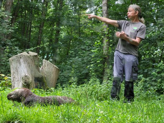 Tierpfleger erklärt den Gästen die Lebensweise d4es Fischotters., © Aktion Fischotterschutz e.V.