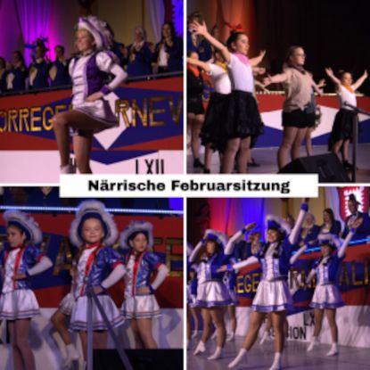 NFS - N&auml;rrische Februarsitzung - 63. Session, Quelle: Reservix