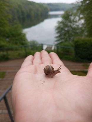 Achtsam um den Ukleisee, © Sonja Sporn
