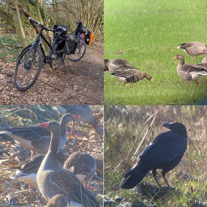 naturfuhrung_fahrradtour-collage_2, &copy; Neunt&ouml;ter - Verein f&uuml;r Forschung und Vielfalt e. V.