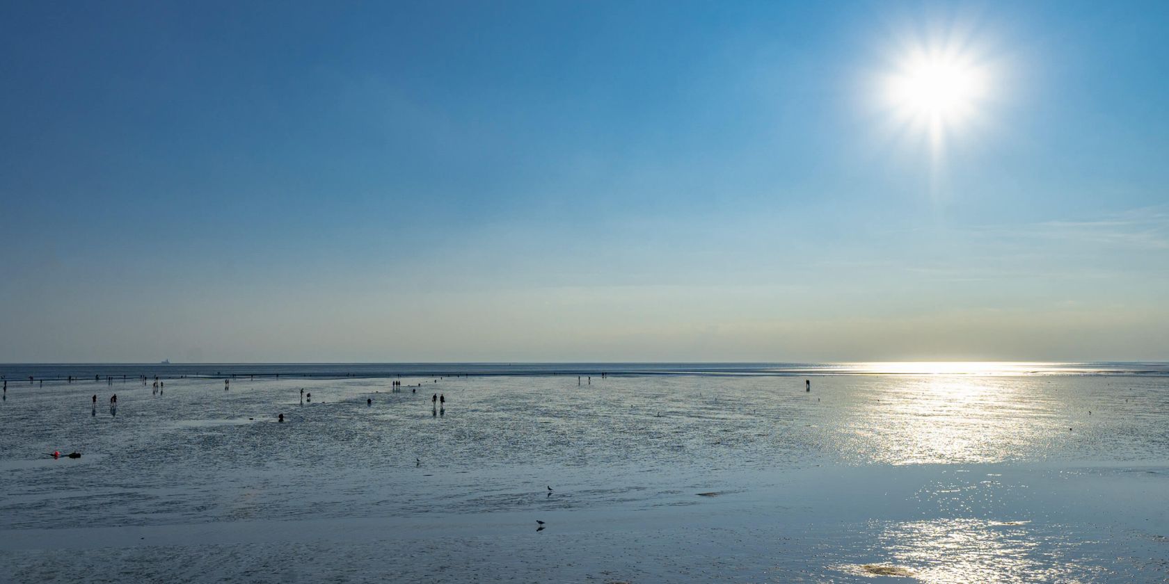 Watt f&uuml;r Einsteiger: Kurze Wattwanderung in B&uuml;sum, &copy; TMS B&uuml;sum GmbH