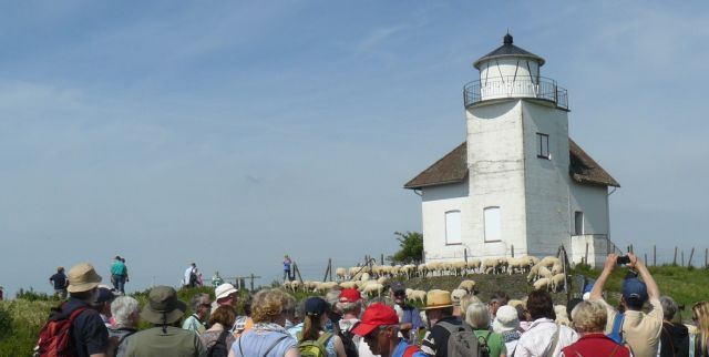 Haseldorf - Juelssand_Heim, © Frau Heim - Elbmarschenhaus