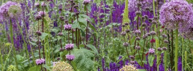 GvE_Stauden und Gräser, © Garten von Ehren