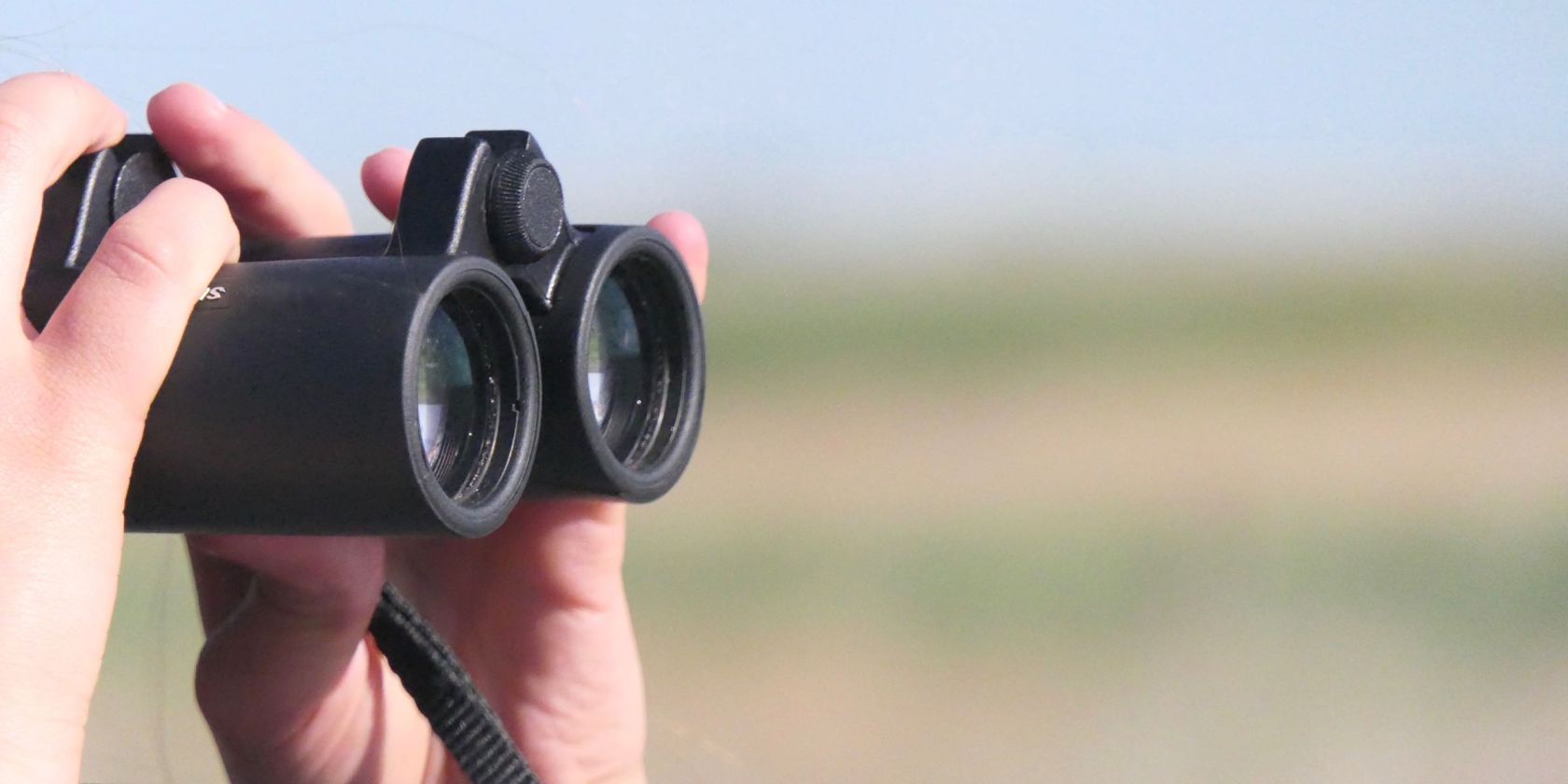 F&uuml;hrung: Die Vogelwelt im Meldorfer Speicherkoog, &copy; Schutzstation Wattenmeer e. V.