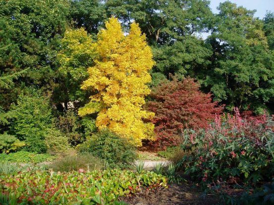 Herbst im Garten, &copy; Helge Masch