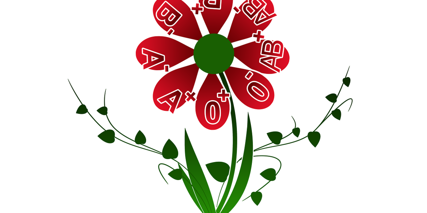 Blutspende, © www.pixabay.de