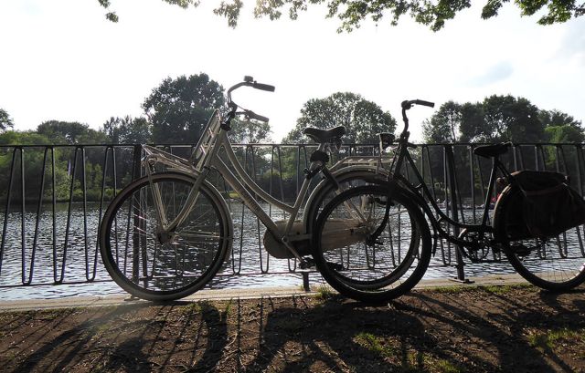 Fahrradlesung durch den Ohlsdorfer Friedhof, &copy; Ayna Steigerwald