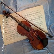 Mit Strau&szlig; durch die Nacht - 40. Sch&ouml;nberger Musiksommer, &copy; links im Bild
