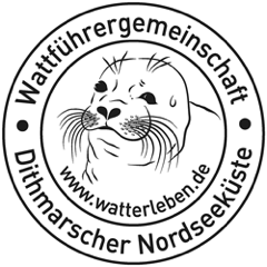 Wattwanderung "Springtide", © Wattführergemeinschaft Dithmarscher Nordseeküste