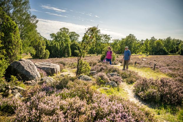 Vogelstimmen- Fr&uuml;hwanderung, &copy; Erlebniswelt L&uuml;neburger Heide GmbH, Markus Tiemann