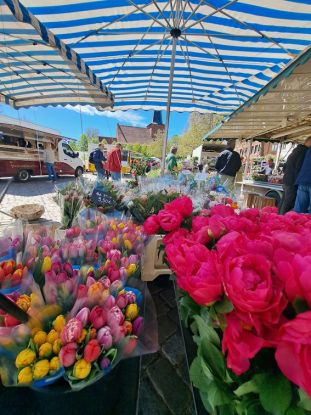 Blumen auf dem Wochenmarkt, &copy; Stadtmarketing