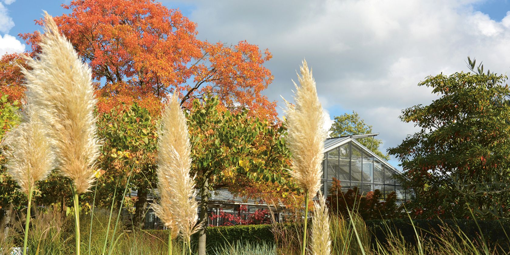 gve-indian-summer_0003_dsc_0540, &copy; Garten von Ehren