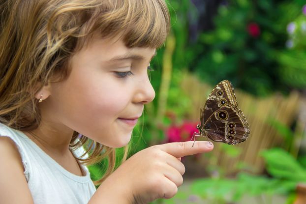 Faszinierende Welt der Schmetterlinge entdecken, © Schmetterlingspark Buchholz / Adobe Stock