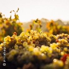 Weinseminar Alkoholfreier Wein, &copy; links im Bild