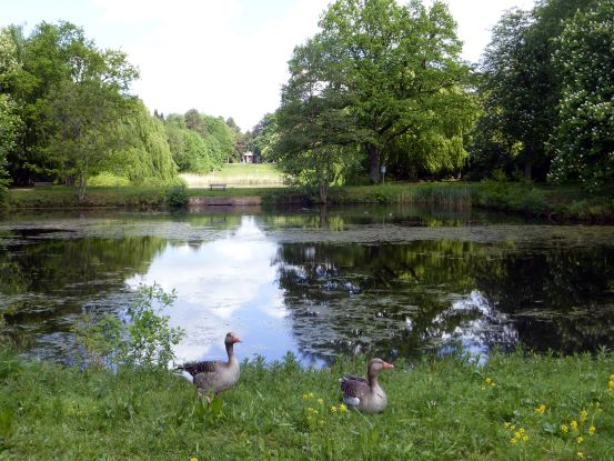 ohlsdorf-fahrradlesetour-2026-teich-foto-ayna-steigerwald, &copy; Ayna Steigerwald