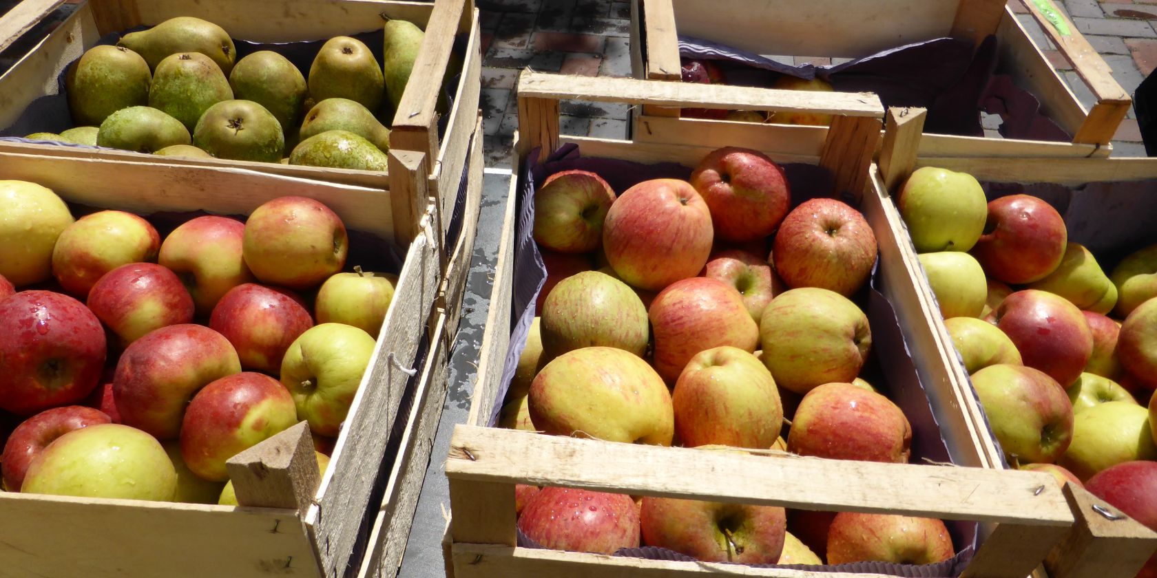 wochenmarkt-bad-bodenteich-foto-kurverwaltung-ccby-4, © Kurverwaltung Bad Bodenteich, T.Nowotny