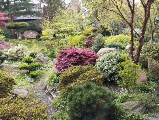 Garten&ouml;ffnung Garten Mekelburg, &copy; Claus-Dieter und Heidi Mekelburg