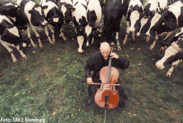 Pure Liebe, Cello Konzert, &copy; TAKE Hamburg