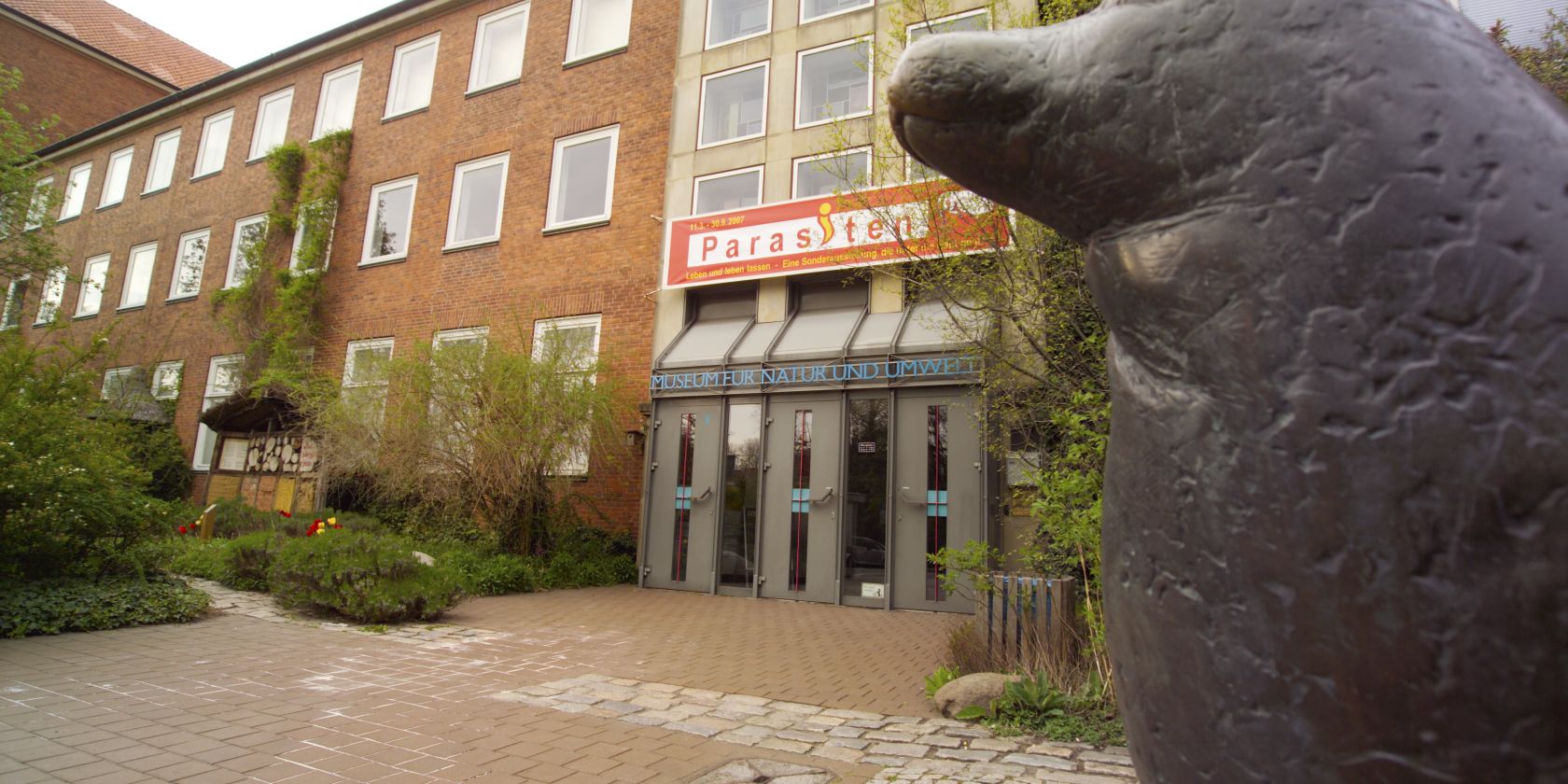 Museum f&uuml;r Natur und Umwelt_c. Michael Haydn_L&uuml;becker Museen, &copy; L&uuml;becker Museen/Michael Haydn