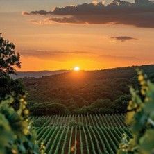 Georgische Weinreise, &copy; links im Bild