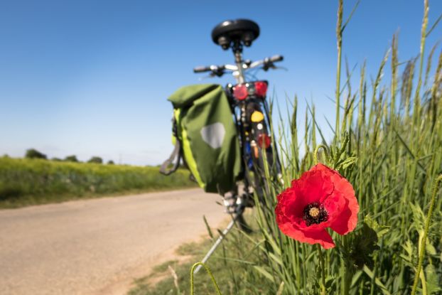 Fahrradtour zum Rodenbeker Quellental und Quellenhof, © pixabay