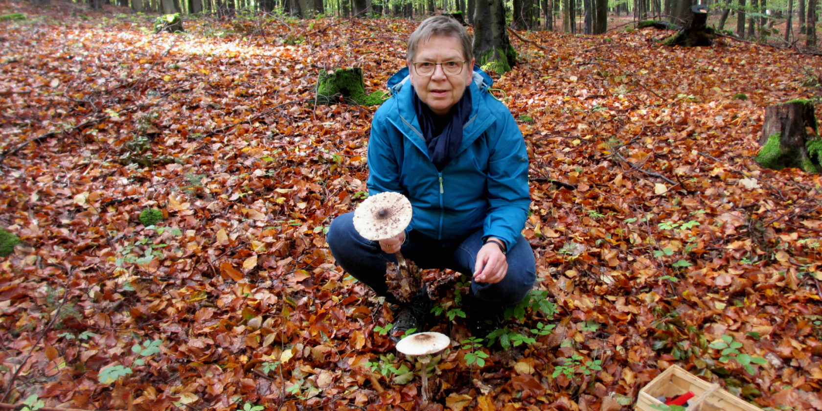 Auf die Pilze-fertig-los! - Tagesseminar, &copy; Ulrike &Ouml;hler