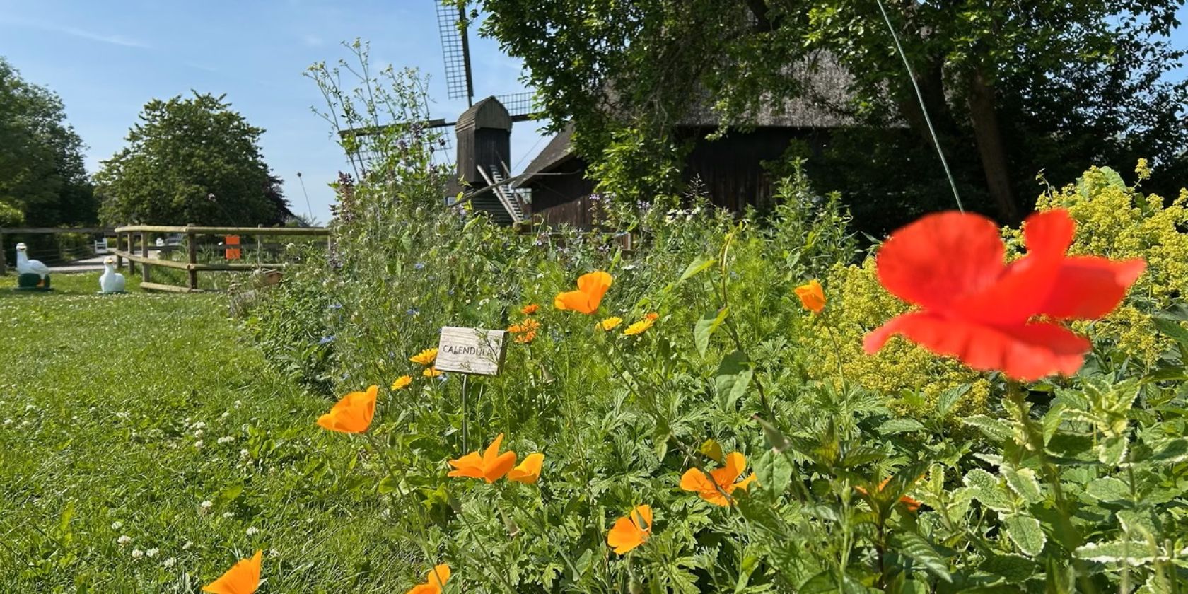 Rieck Haus - Garten, &copy; Bergedorfer Museumslandschaft