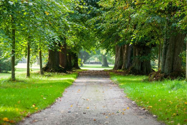 avenue-4964960_1920, &copy; pixabay kostenlose Bilder