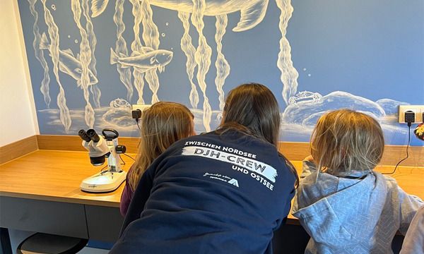 Offenes Ostseelabor, &copy; Jugendherberge Dahme