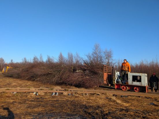 Die kleine Lok schleppt ordentlich Birkenreisig., © Franzi Zelck