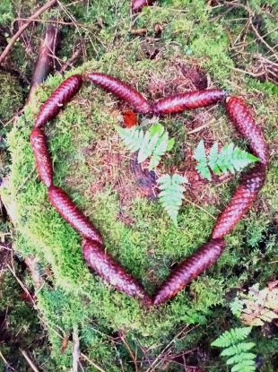 Raus aus dem Hamsterrad – Rein in den Wald!, © Andrea Dageförde