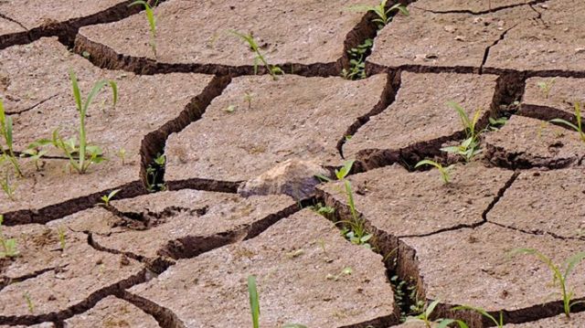 Klimawandel &ndash; eine untersch&auml;tzte Fluchtursache, &copy; Foto: Adpic