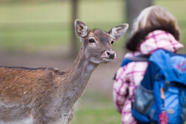 Schlüpft in die Rolle des Tierpflegers, © Wildpark Lüneburger Heide