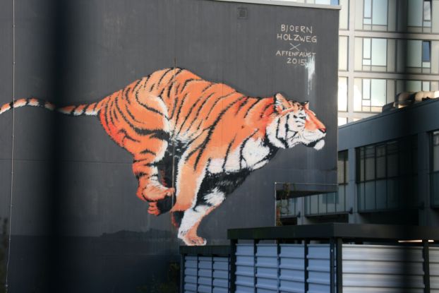 Tiger, &copy; Martyn Leder