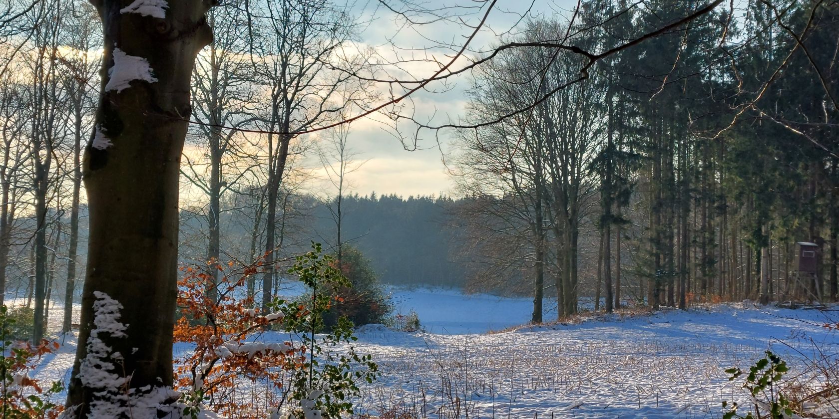 Vom Eise befreit, &copy; Naturpark Aukrug e.V.