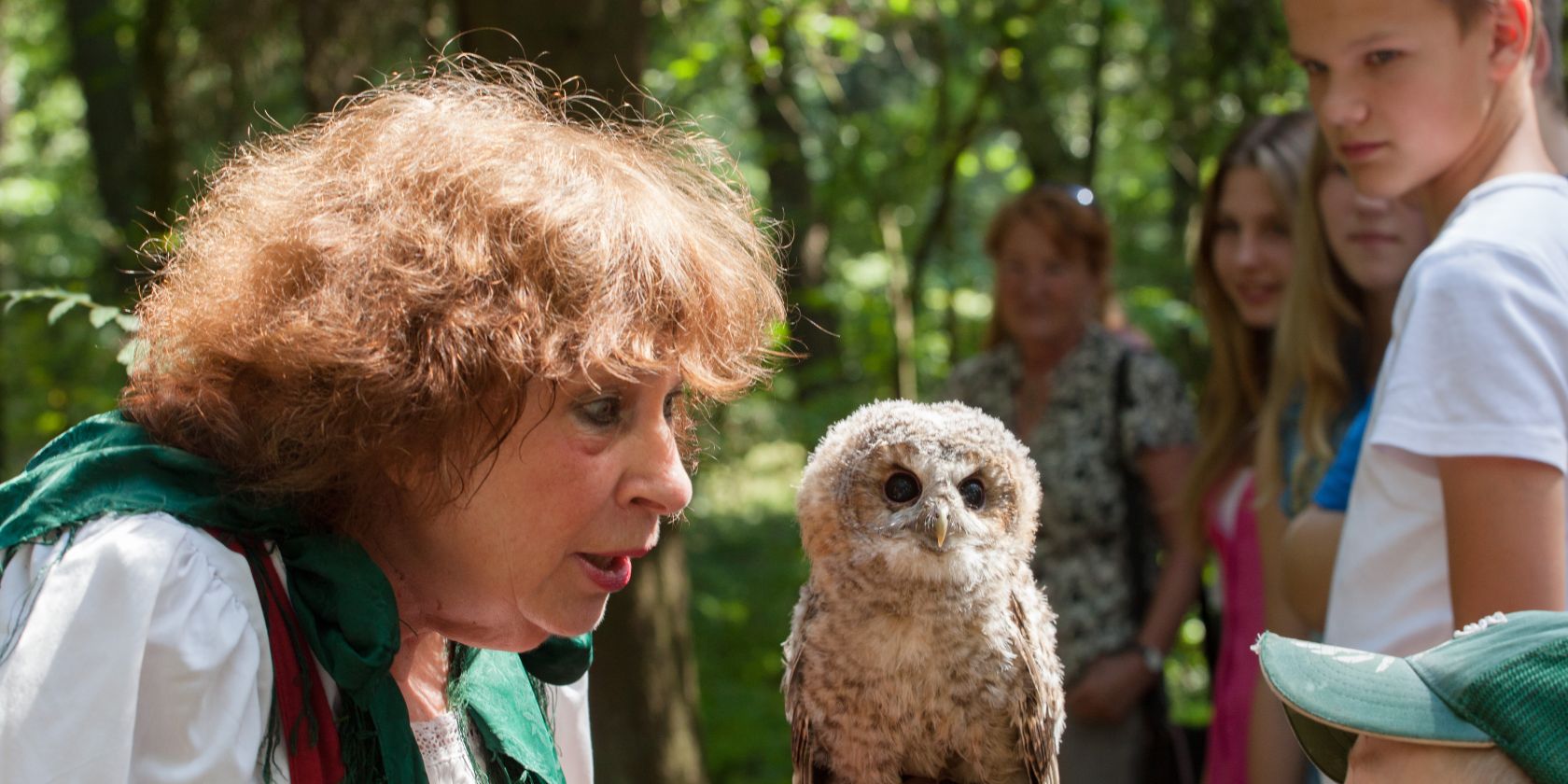 Greifv&ouml;gel aus n&auml;chster N&auml;he, &copy; Bispingen Touristik e.V.