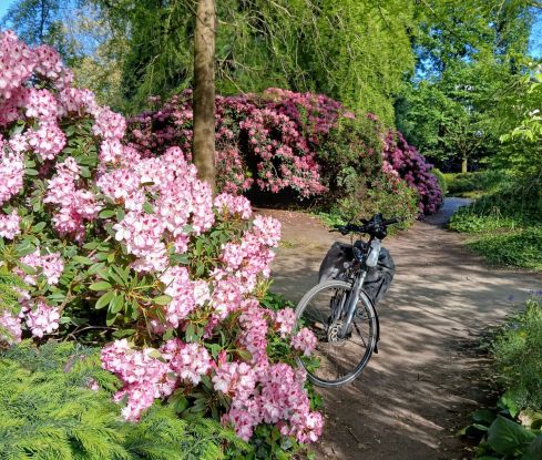 parkundblumen, © Waltraut Schulz