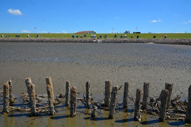Riesenwattwanderung &bdquo;Drei-Priele-Tour&ldquo;, &copy; Wipsteert