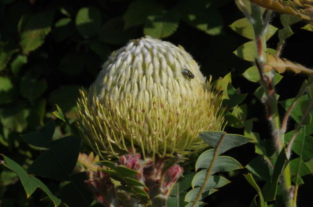 imgp3588, © Helge Masch