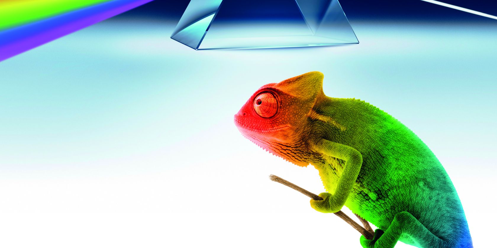 Grafik: Carl Bosch Museum Heidelberg, &copy; Carl Bosch Museum Heidelberg