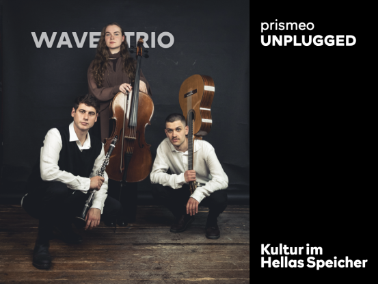 Ticket Cover.003, &copy; 2025 WaveTrio