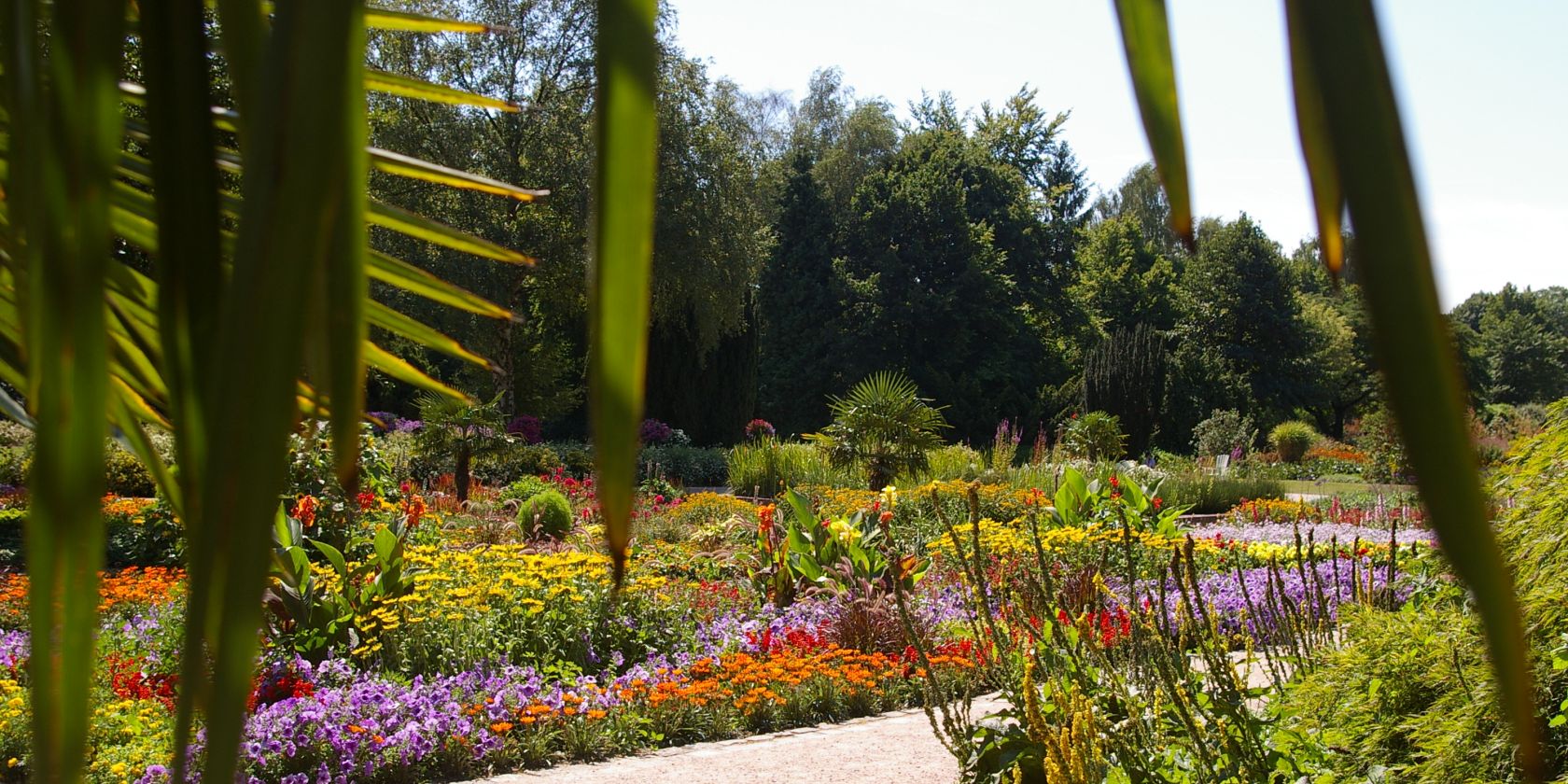 Botanischer Sondergarten Wandsbek - Gewächshaus, © Helge Masch