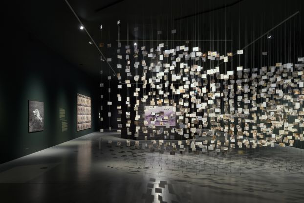 ART X LANDSCAPES OF CLIMATE CHANGE, © © Deichtorhallen Hamburg. Foto: Henning Rogge