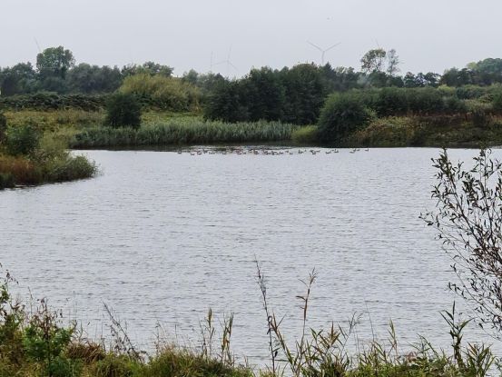 Vogelbeobachtung an der Elbe, © Heike Niemann, UNESCO-Weltnaturerbe Wattenmeer-Besucherzentrum Cuxhaven