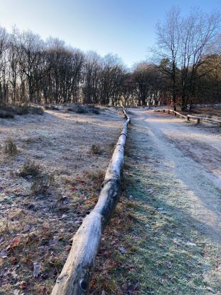 Pilgern durch die Jahreszeiten, &copy; Ulrike Dorner