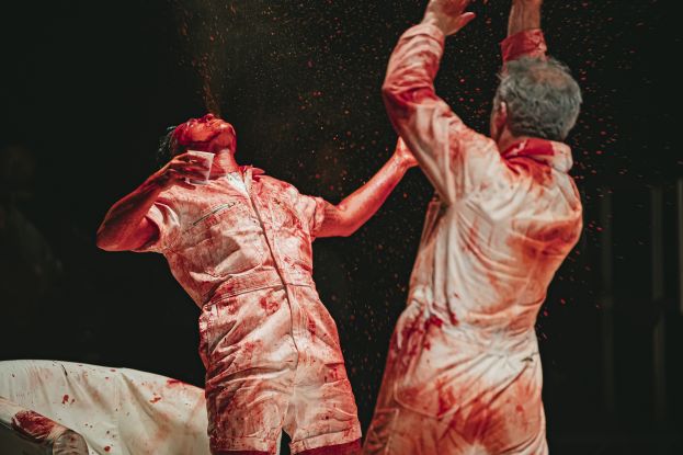Excerpt from the performance Blood Show by Ocean Hester Stefan Chillingworth. Two performers are shown in close-up., &copy; Kirsten Mc Ternan